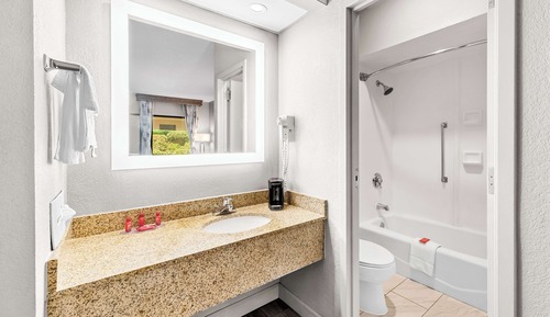Standard Room, 2 Double Beds, Non Smoking, Refrigerator & Microwave (Pet Friendly)
