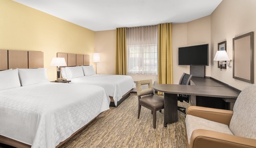 Studio Suite, 2 Queen Beds