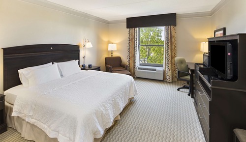 Room, 1 King Bed, Accessible, Non Smoking
