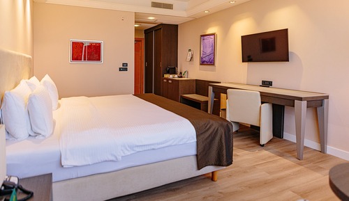 Standard Room, 1 Queen Bed