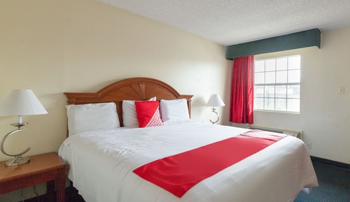 Room, 1 King Bed