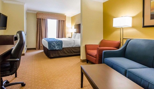 Suite, 1 King Bed with Sofa bed, Non Smoking