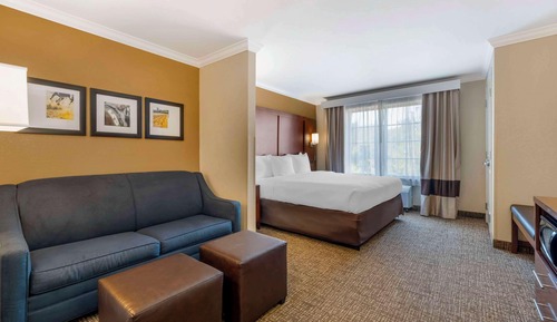 Suite, 1 King Bed with Sofa bed, Accessible, Non Smoking