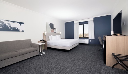 Room, 1 King Bed