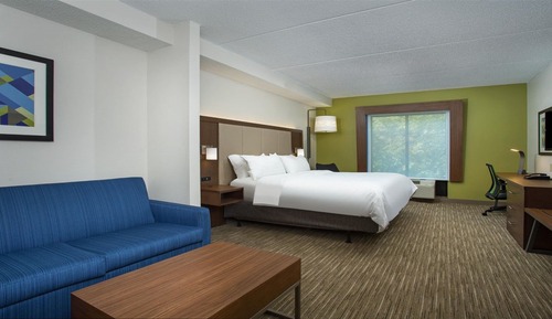 Suite, 1 King Bed, Accessible (Roll-In Shower)