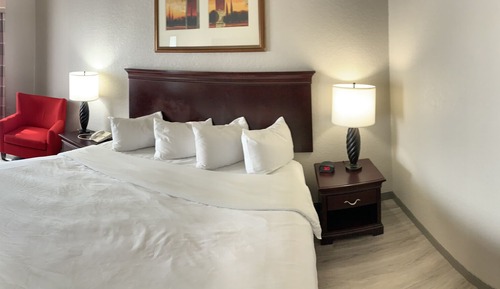 Room, 1 King Bed, Non Smoking