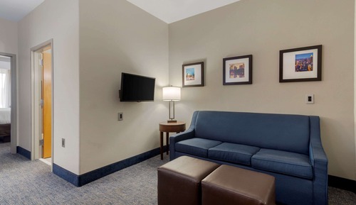 Suite, 1 King Bed with Sofa bed, Non Smoking