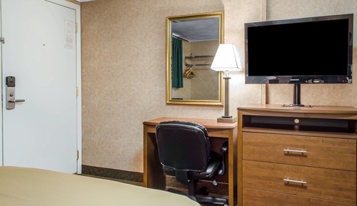 Standard Double Room, 2 Double Beds, Non Smoking