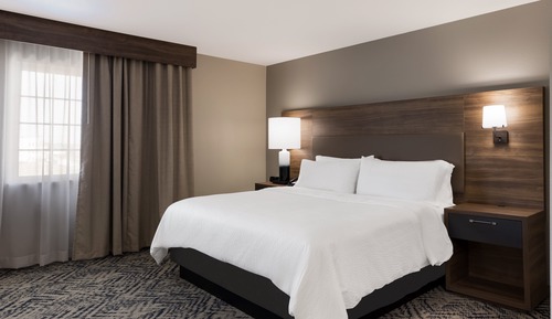 Studio Suite, 1 King Bed with Sofa bed