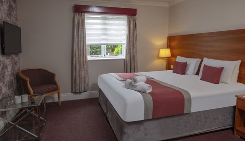 Comfort Room, 1 Double Bed, Non Smoking