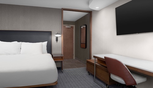 Room, 1 King Bed with Sofa bed