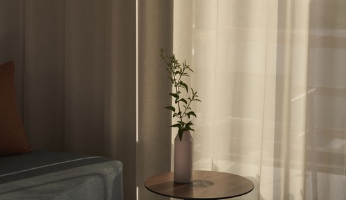 Light Suite