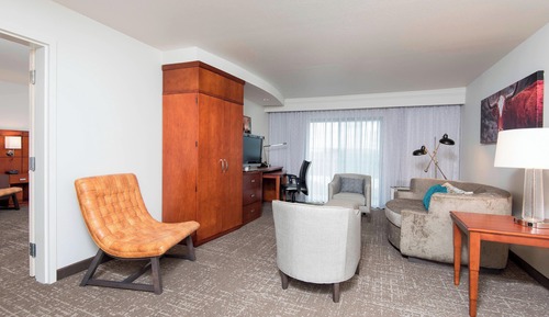 Suite, 1 King Bed with Sofa bed