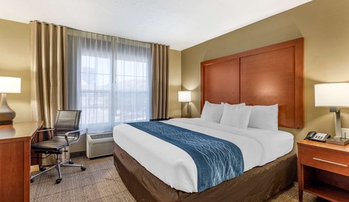 Standard Room, 1 King Bed, Non Smoking