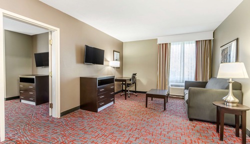 Executive Suite, 1 King Bed, Non Smoking, Refrigerator & Microwave (with Sofabed)