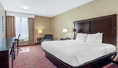 Standard Room, 1 King Bed, Non Smoking, Refrigerator & Microwave