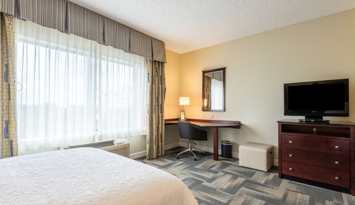 Room, 1 King Bed, Accessible, Non Smoking
