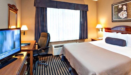 Deluxe Suite, 1 King Bed with Sofa bed, Non Smoking, Refrigerator & Microwave