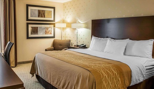 Room, 1 King Bed, Accessible, Non Smoking