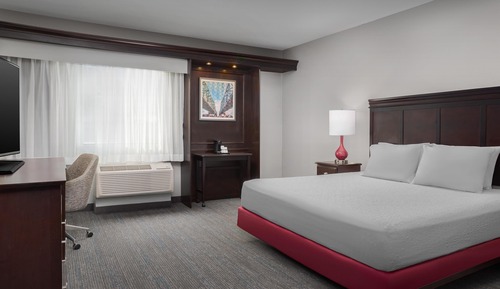 Room, 1 King Bed, Accessible, Non Smoking
