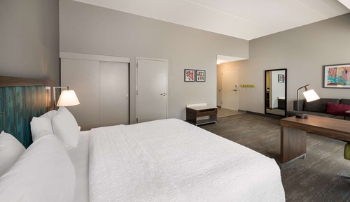 Studio, 1 King Bed, Accessible (Roll-In Shower)