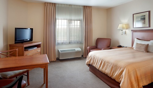 Room, 1 Queen Bed, Accessible (Roll-In Shower)