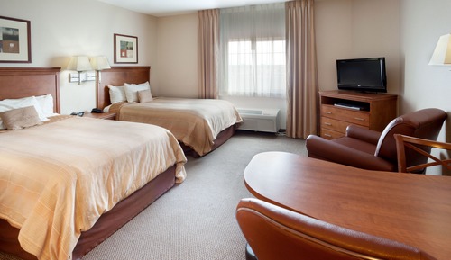 Studio Suite, 2 Double Beds
