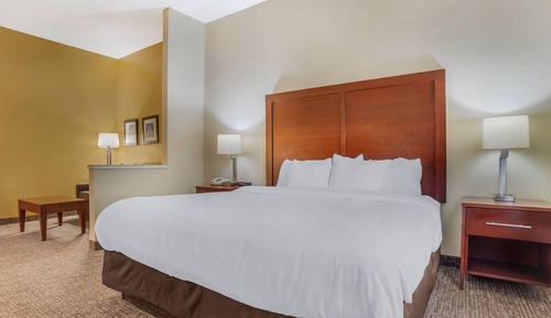 Suite, 1 King Bed with Sofa bed, Accessible, Non Smoking