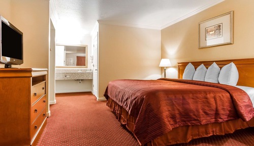 Room, 1 King Bed, Non Smoking