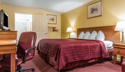 Standard Room, 1 King Bed, Non Smoking