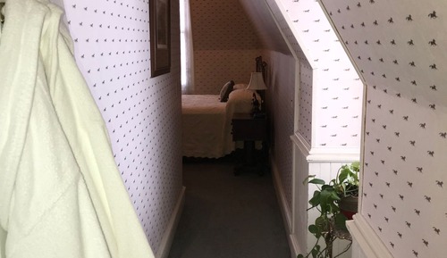 Standard Room, 1 Queen Bed, Non Smoking (Roosevelt)