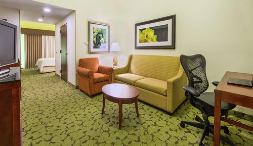One King Bed Suite