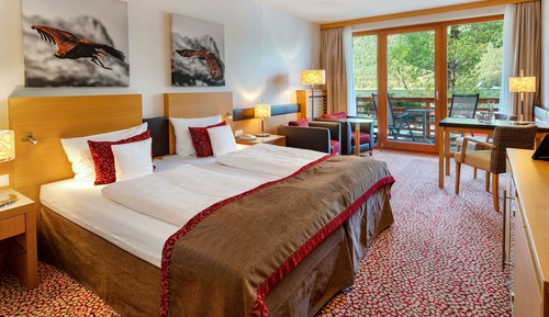 Comfort Twin Room, Balcony, Mountain View