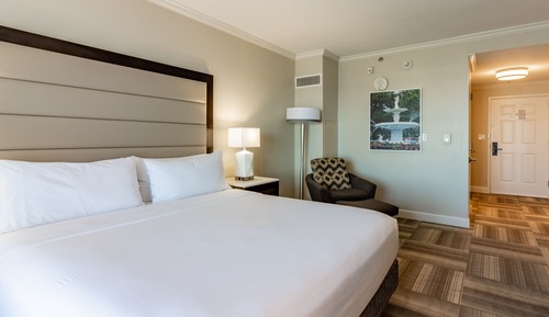 Standard Room, 1 King Bed, Accessible (Accessible Tub)