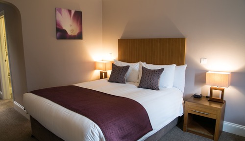 Standard Room, 1 Double Bed, Accessible, Non Smoking (Walk-in Shower)