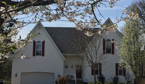 House, 5 Bedrooms, Kitchen