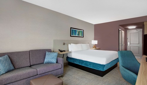 Room, 1 King Bed