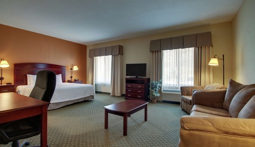 Studio, 1 King Bed, Accessible, Non Smoking (Mobility & Hearing, Roll-in Shower)