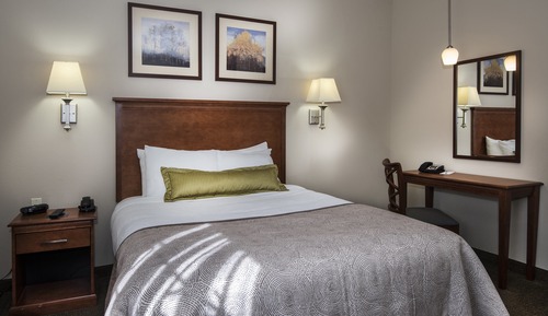 Suite, 1 Bedroom