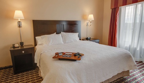 Room, 1 King Bed, Accessible