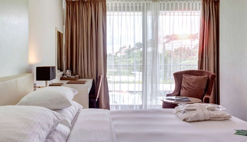 Classic Room, 2 Twin Beds, Park View