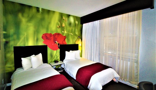 Room, 2 Twin Beds, Non Smoking