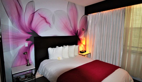 Deluxe Room, 1 Queen Bed, Non Smoking