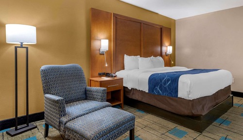 Suite, 1 King Bed with Sofa bed, Non Smoking, Jetted Tub (Upgrade)