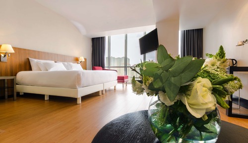 Junior Suite (Extra Bed 3 Adults)