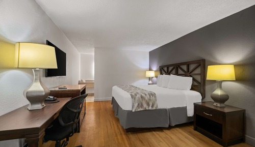 Room, 1 King Bed, Non Smoking