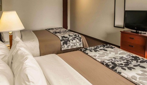 Standard Room, 2 Queen Beds, Non Smoking