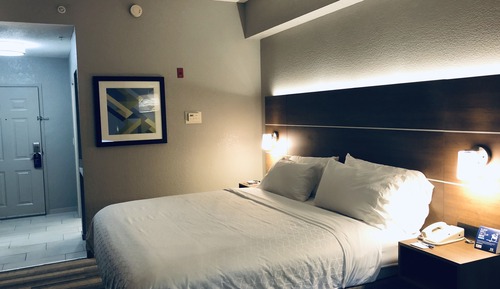 Room, 1 King Bed with Sofa bed