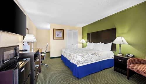 Room, 1 King Bed, Non Smoking