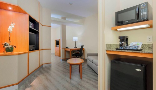 Studio, 1 King Bed with Sofa bed